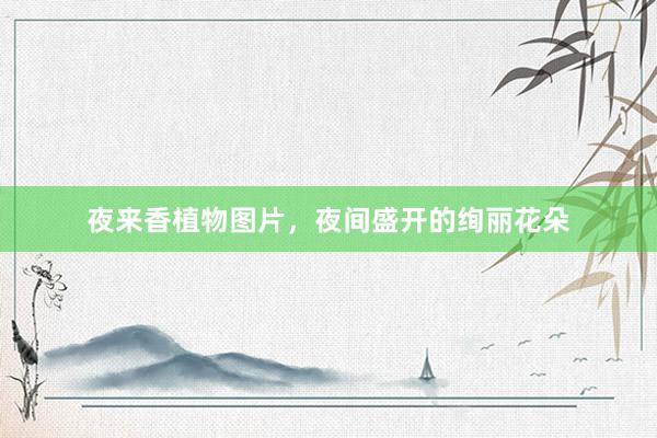 夜来香植物图片，夜间盛开的绚丽花朵