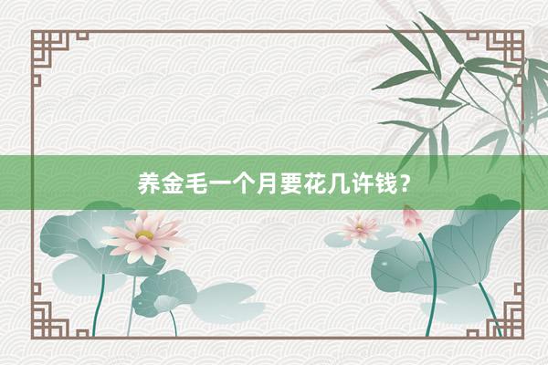 养金毛一个月要花几许钱？